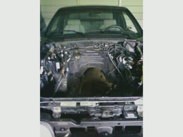 empty bay.webp