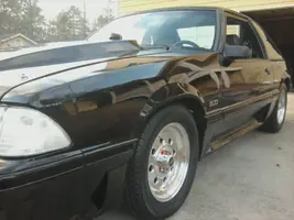 mustang.webp