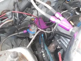 DSCN0349.webp