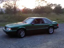 mustang.webp