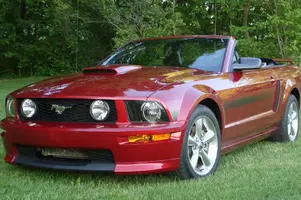 mustang 1.webp