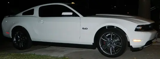 around the house-mustang 386.webp
