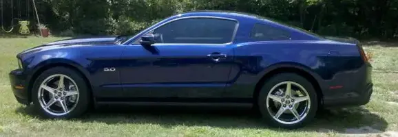saleennn.webp