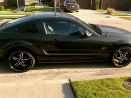 mustang.webp