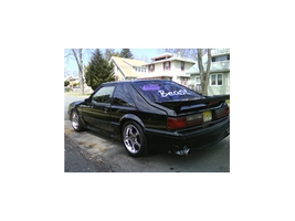 DSC00128t.webp