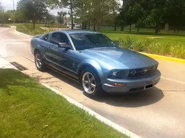 mustang1_rev.webp