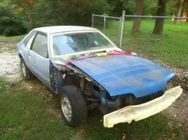stang.webp