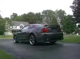 stang1.webp