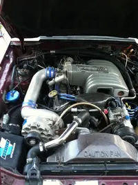 stang1.webp