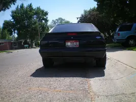 mustang 1 002.webp