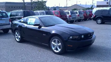 stang2.webp