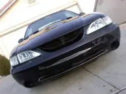 Stang2.webp