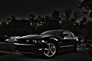 stang3.webp