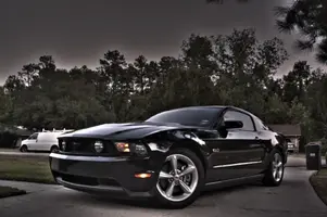 stang.webp