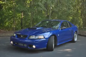 Side Good.webp