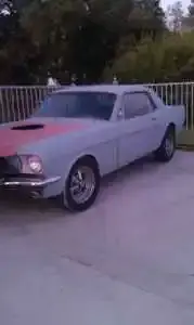 m1.webp