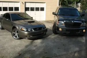 the whips.webp