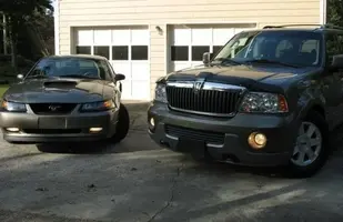 the whips2.webp