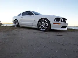 3219281062_53436139a2.webp