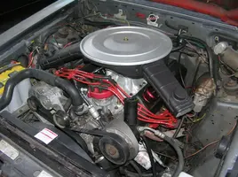 PA050018.webp