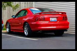 stang.webp
