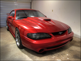 hdrstang800.webp