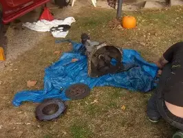 Picture201814.webp
