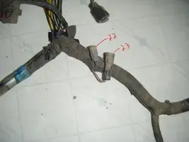 wires2223.webp