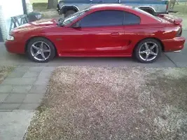 Stangwoop.webp