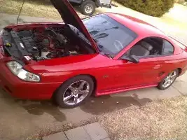 Mymustang-1.webp
