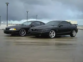stangs026.webp