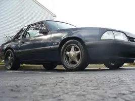 BeastGreyPony.webp