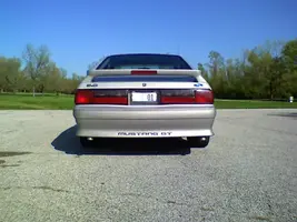 stang2.webp