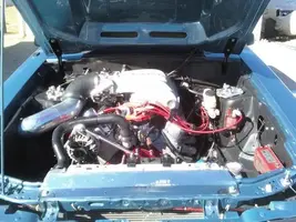 mustang2.webp