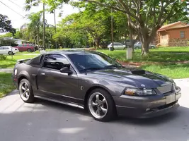 mustangcpillar.webp