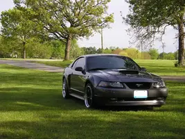mustanggt03hood.webp
