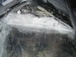 DSCF5281.webp