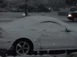SnowDay004.webp