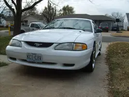 S5000541.webp