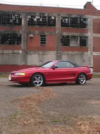 DSCF1185.webp