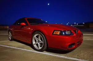 DSC_2518.webp