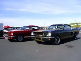 2Shelby_GT350_Mustangs_by_Partywave.webp