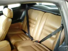 rearseat.webp