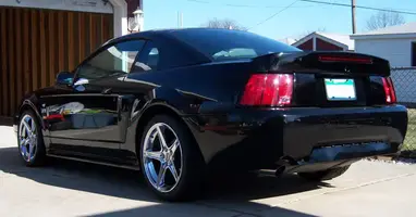 stang_saleens.webp