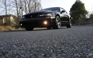 cobra3.webp