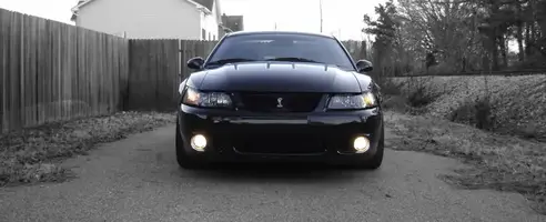 cobra1M1.webp
