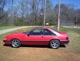 th_Picture022.webp