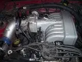 th_Picture0462.webp
