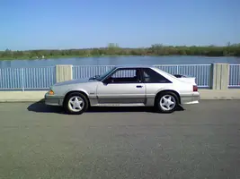 stang1.webp