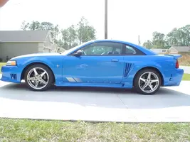 MySaleen002.webp